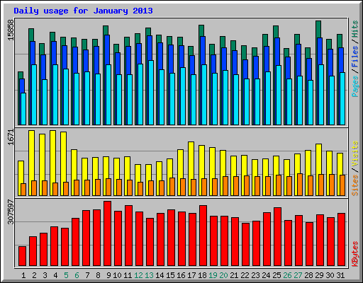 Daily usage for January 2013