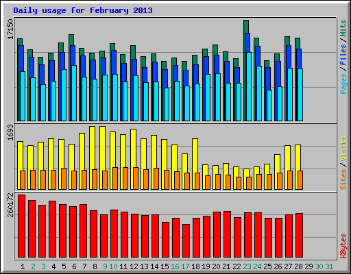 Daily usage for February 2013