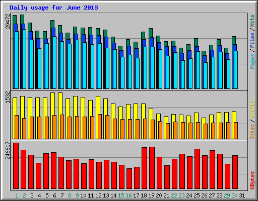 Daily usage for June 2013