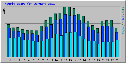 Hourly usage for January 2011