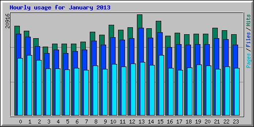 Hourly usage for January 2013