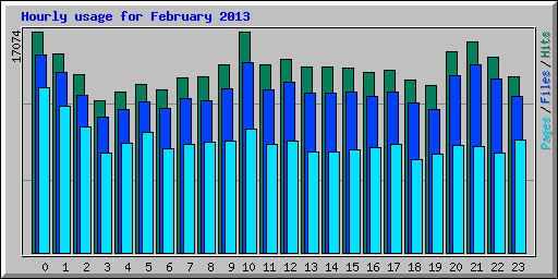 Hourly usage for February 2013