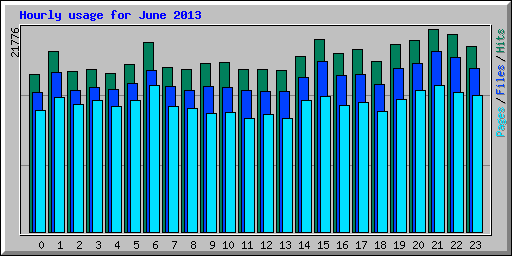 Hourly usage for June 2013