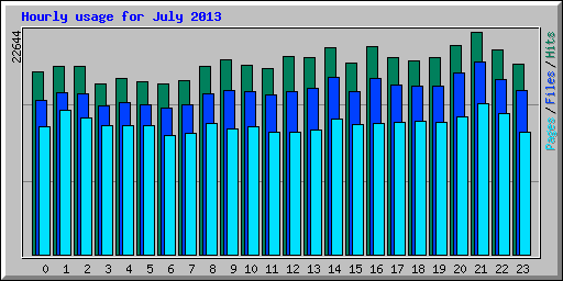 Hourly usage for July 2013