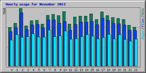 Hourly usage for November 2013