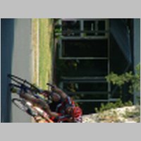 DSCF1744.JPG